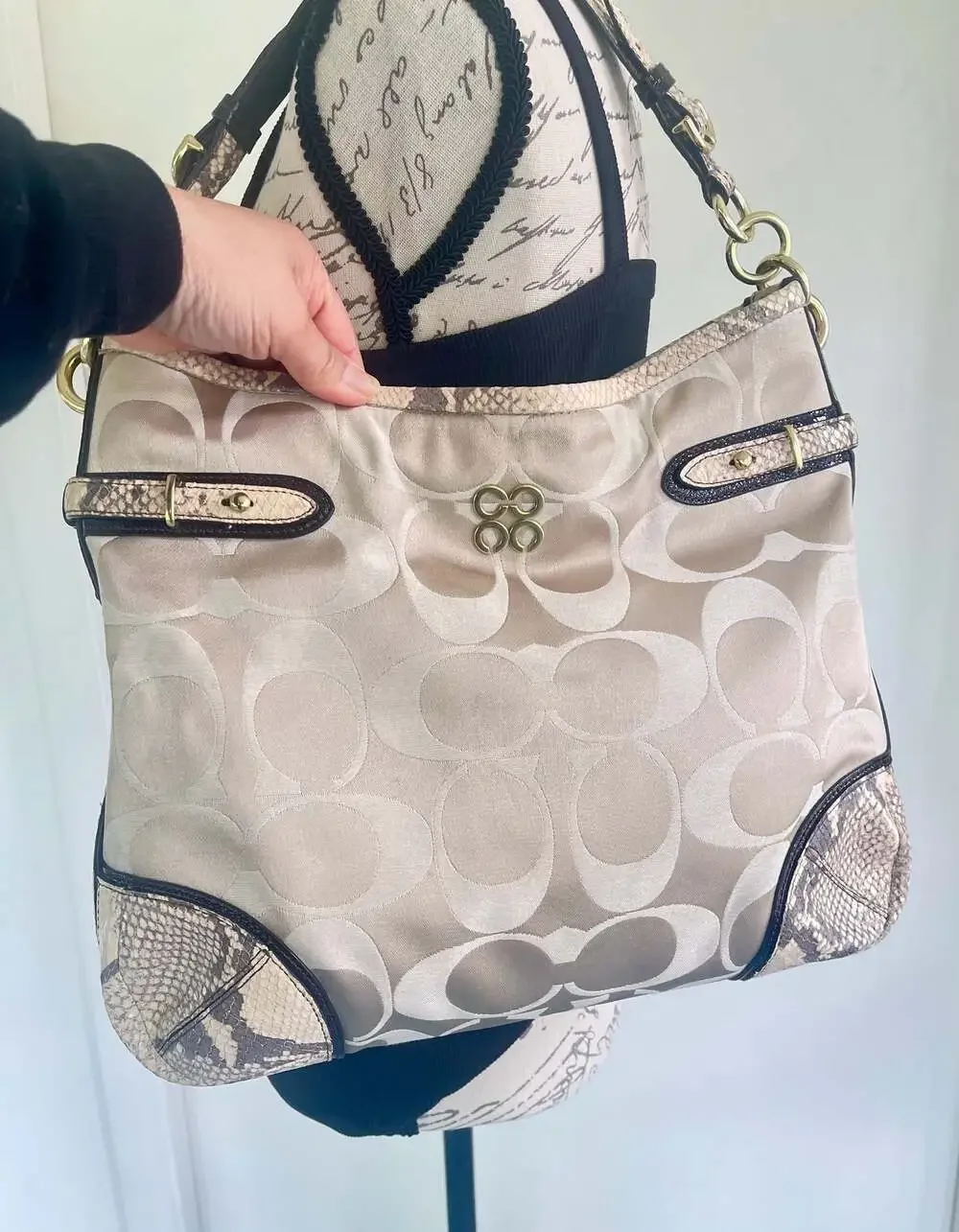 Coach Signature‎ C Hobo Bag with Snakeskin Trim 16408